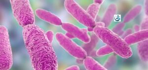 Read more about the article IIT Jodhpur Researchers Discover Unknown Elements in Klebsiella Bacteria