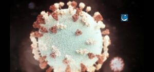 Read more about the article Cases of Norovirus have Surpassed their Top Point in a Decade