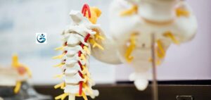 Read more about the article Spinal Nerve Cell Stimulation Has Been Discovered to Help Stroke Patients Regain Movement