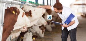 Read more about the article Bird Flu Spreads into Cows with 32 affected in 8 US states, Raises Concerns